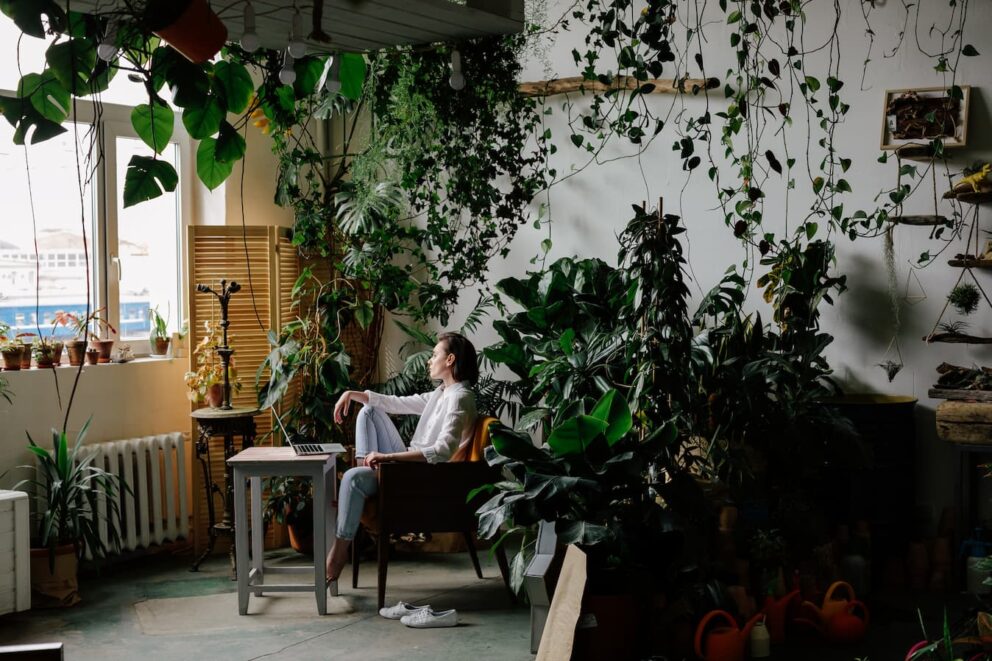 woman sitting in a room, staring out the window